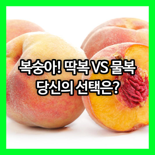 여름의 여왕, 복숭아! 딱복 VS 물복, 당신의 선택은? 복숭아 제철부터 영양 차이까지 완벽 정리!