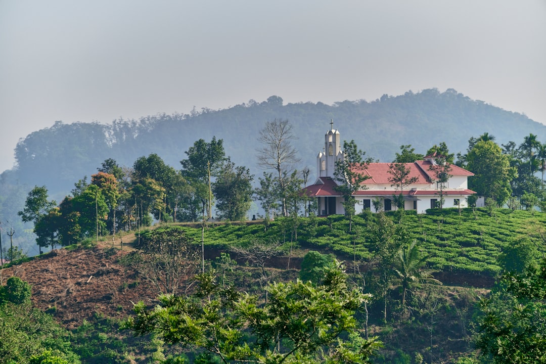 Cultivation