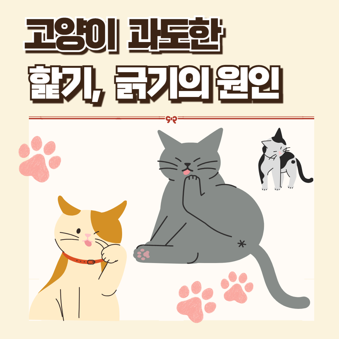 고양이 그루밍