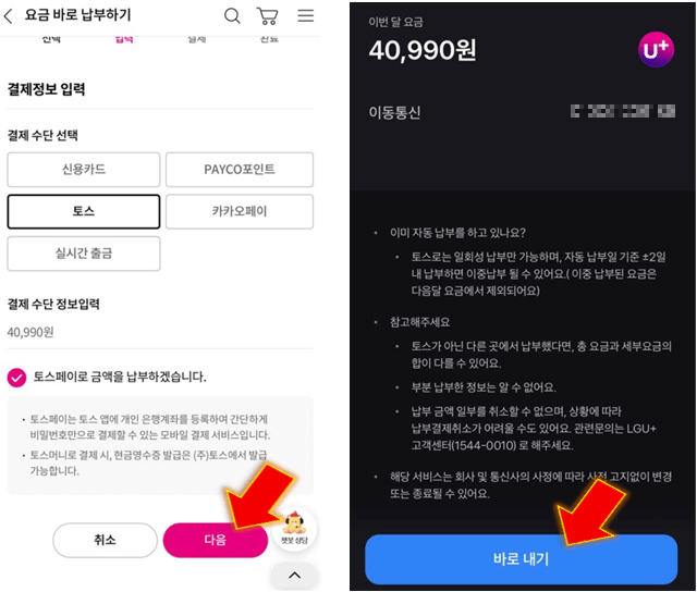 토스-페이-진행