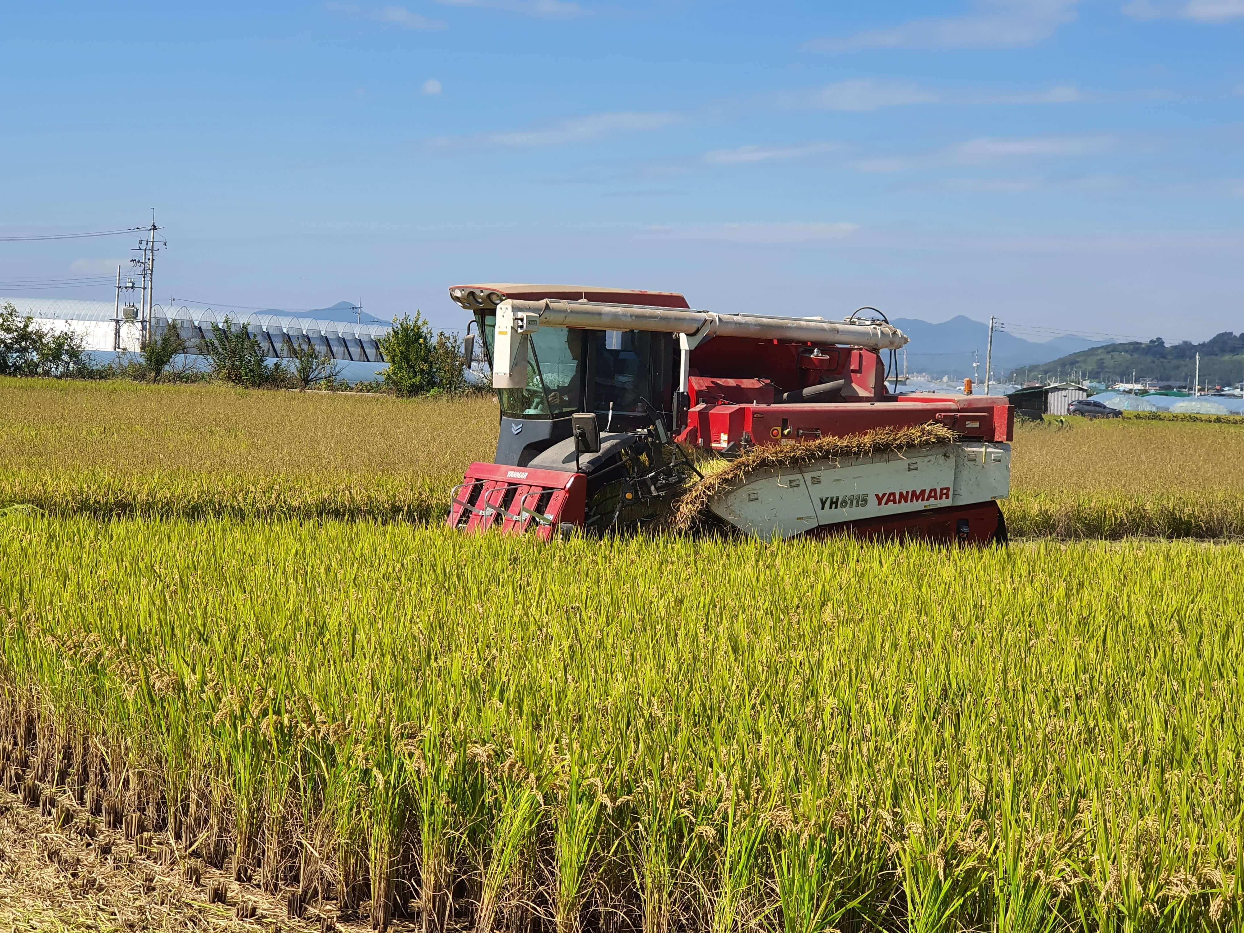 오늘N 가족이뭐길래 경남 밀양 혈당케어 건강쌀 브랜드 초당옥수수 수미감 농부로 주문방법 오늘N 2495회
