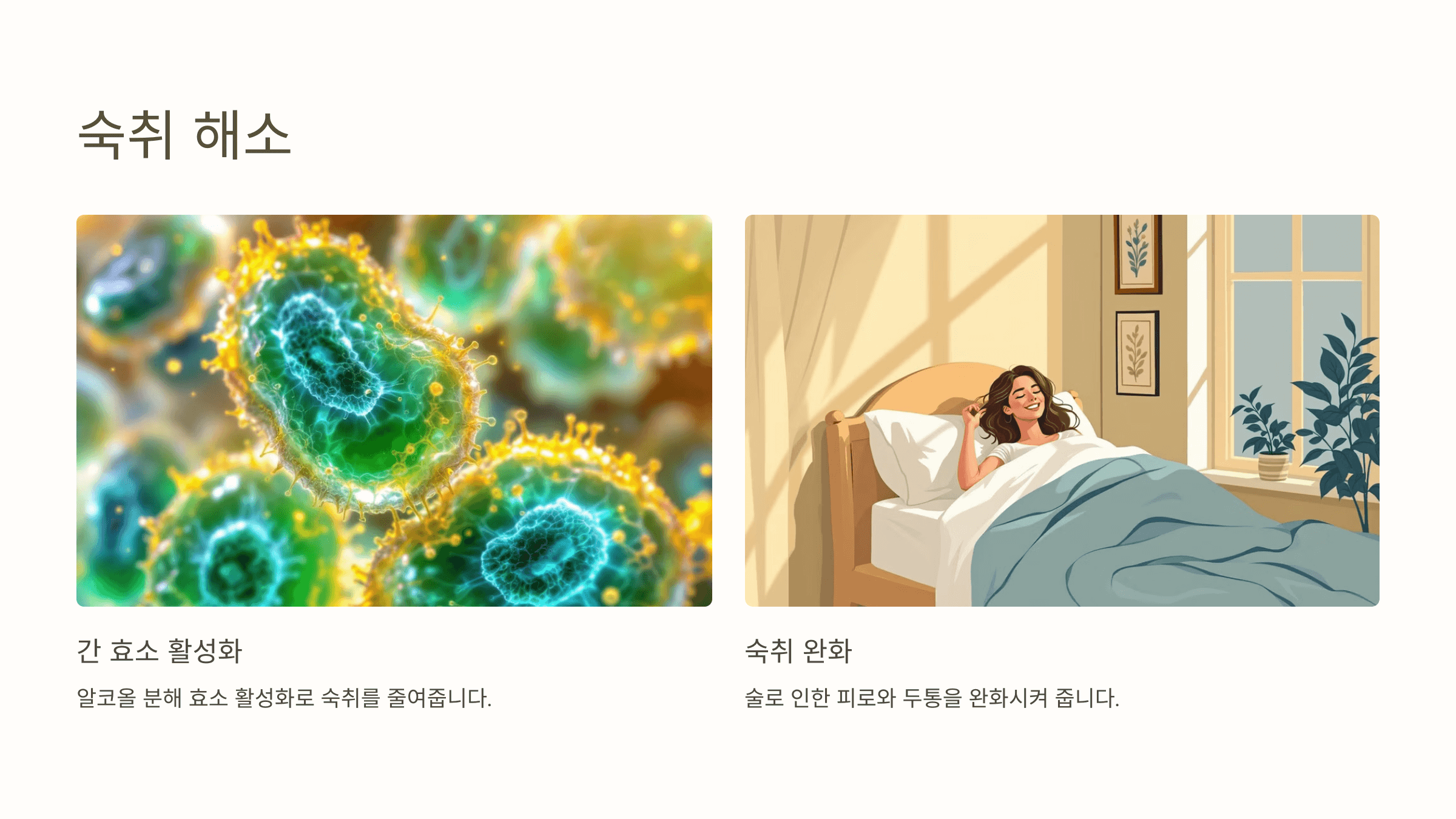 벌나무와 관련된 사진입니다.