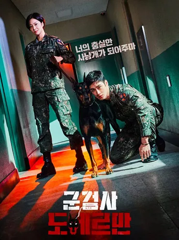 군검사 도베르만