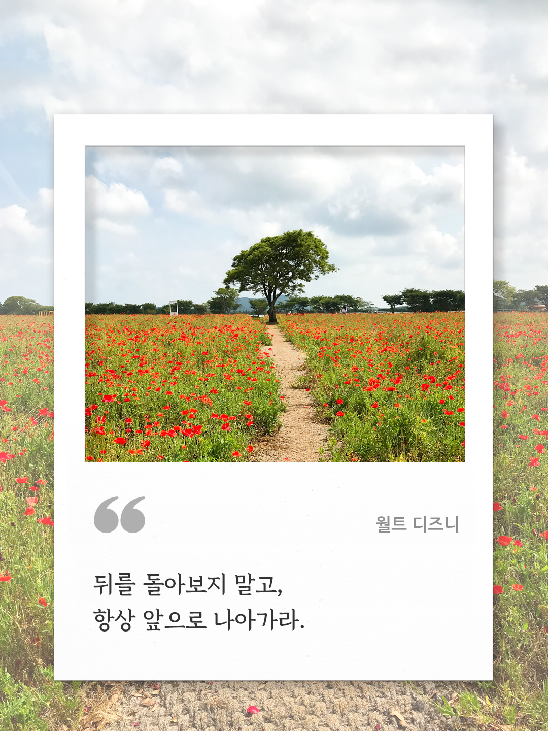 뒤를 돌아보지 말고, 항상 앞으로 나아가라. (월트 디즈니)