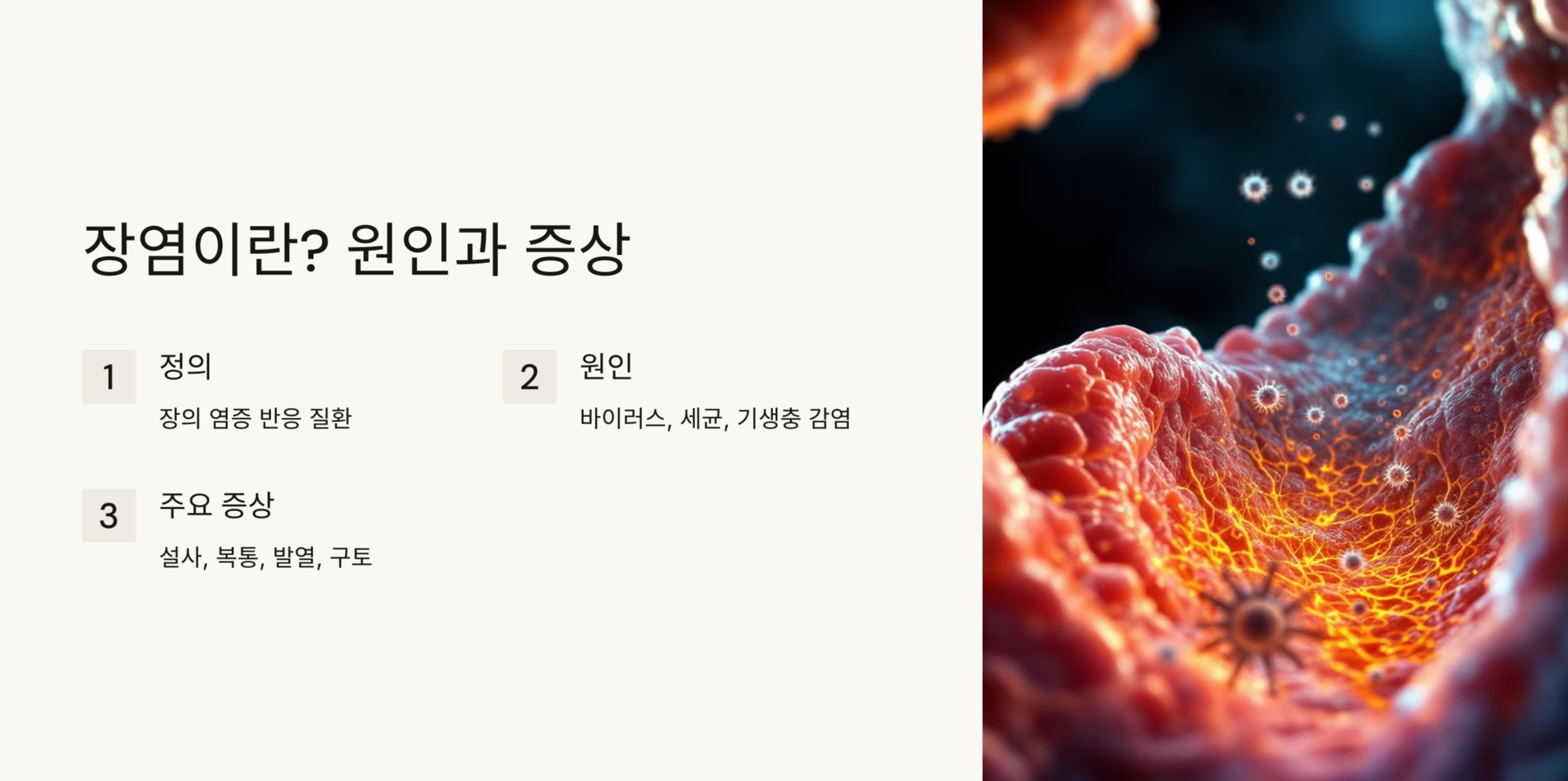 장염 원인 증상 사진