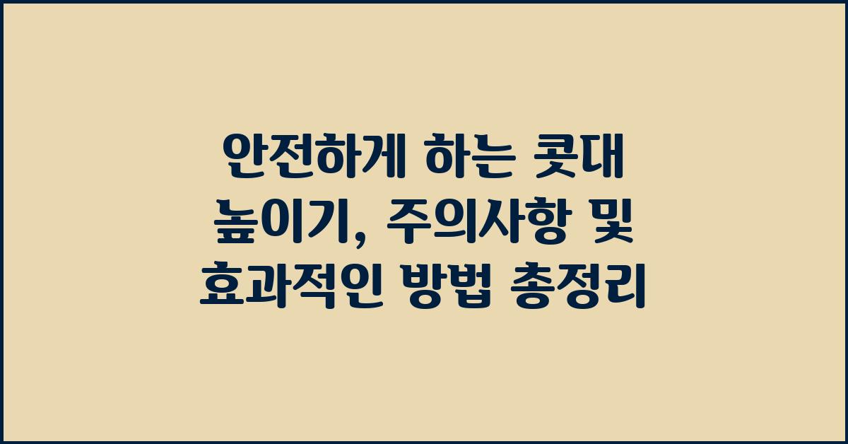 안전하게 하는 콧대 높이기, 주의사항