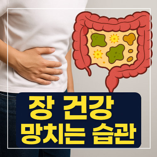 장 건강 망치는 습관 썸네일 이미지