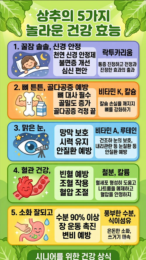 상추의 5가지 놀라운 건강효능