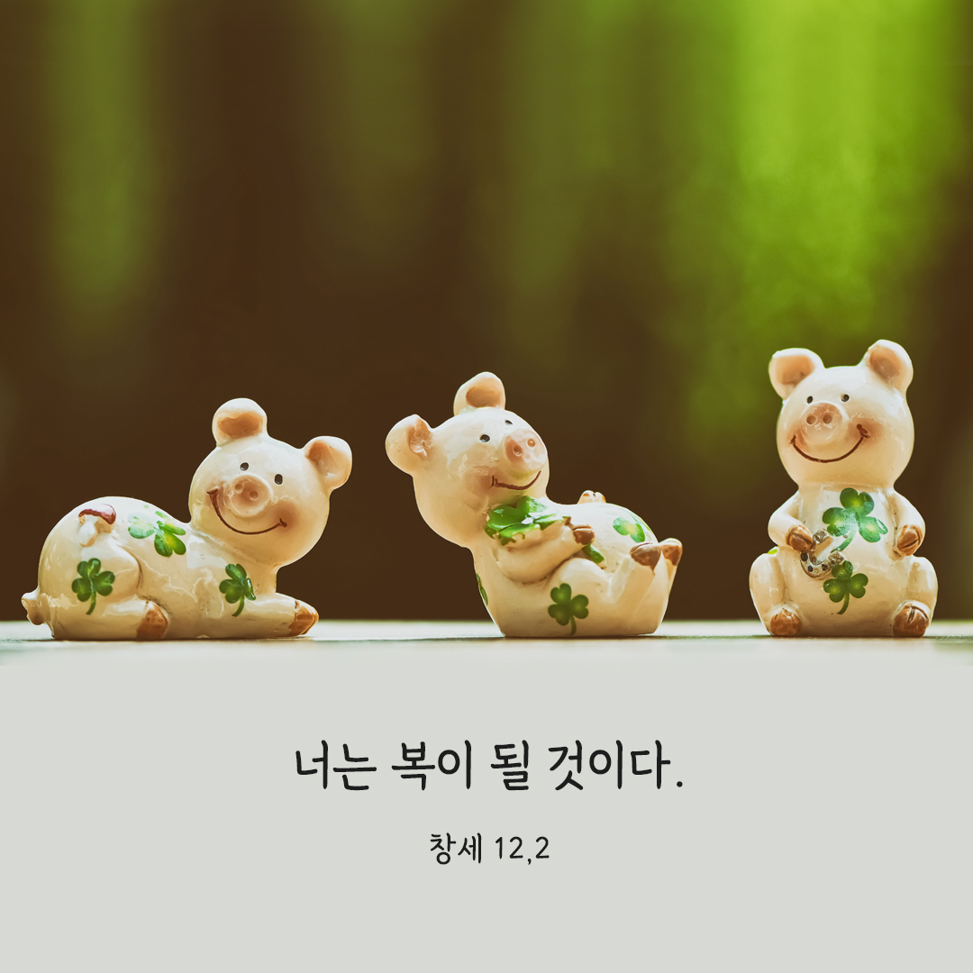 너는 복이 될 것이다. (창세 12,2) 창세기 성경 말씀 카드 이미지