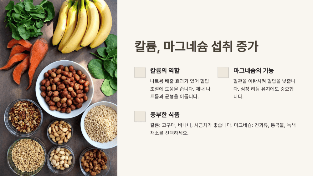 칼륨, 마그네슘 섭취 증가