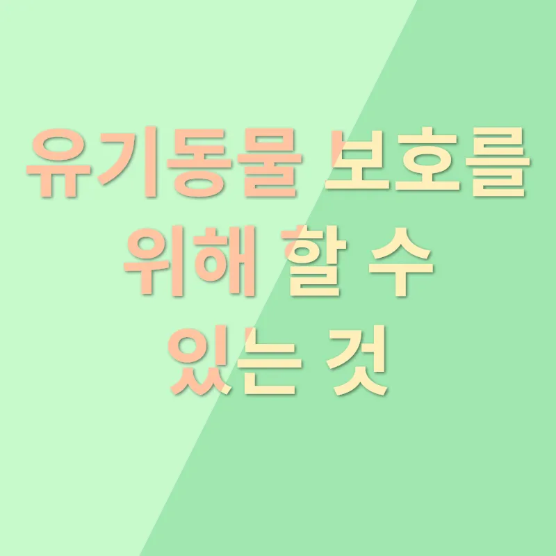 유기동물 보호_3