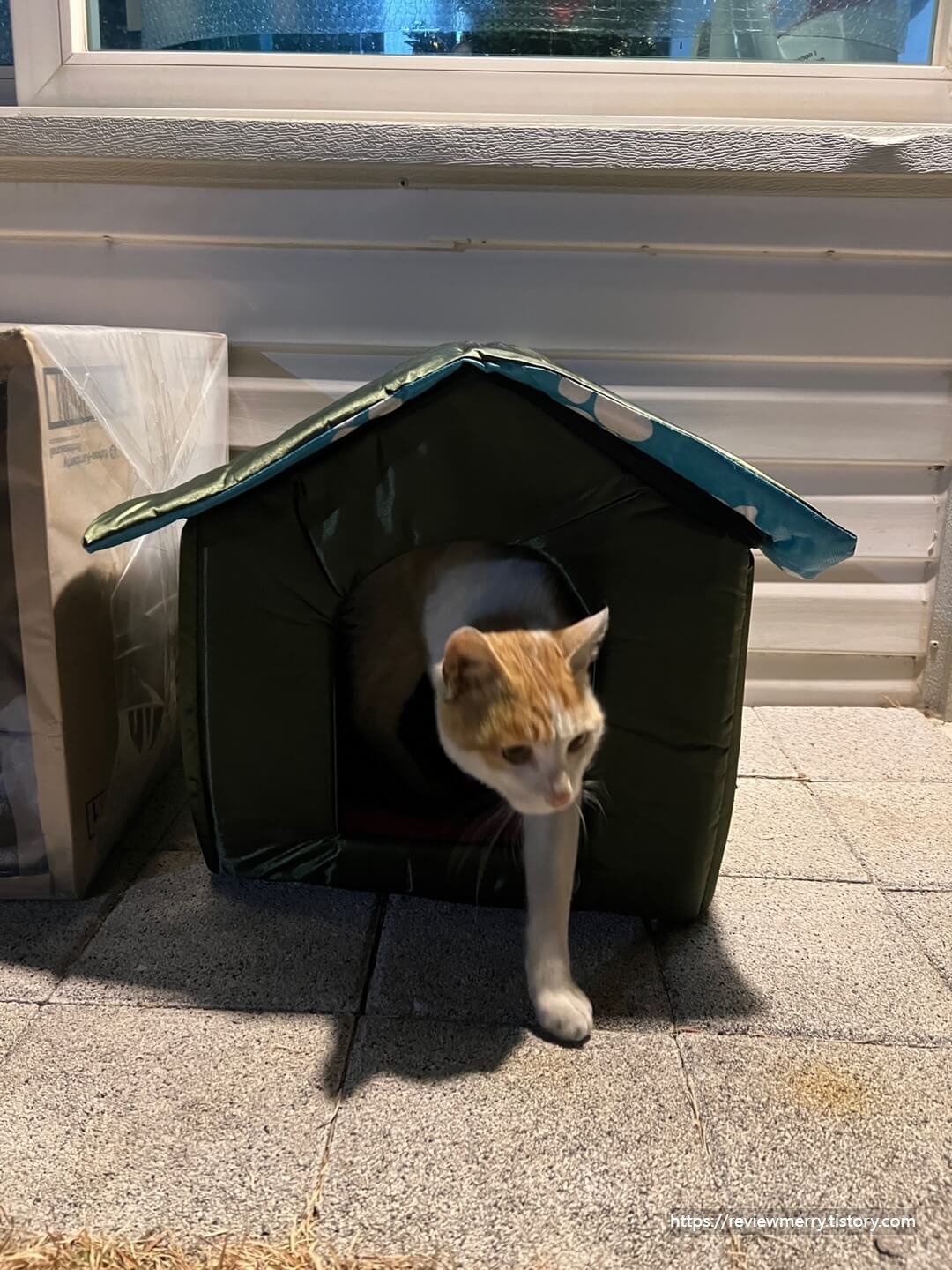 길고양이 집 사진