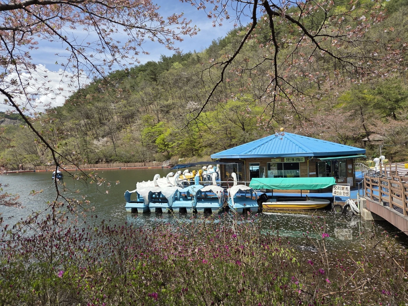 마이산 산행길16