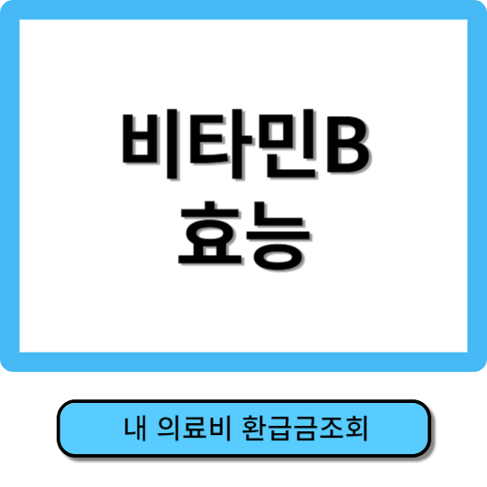 비타민 B효능
