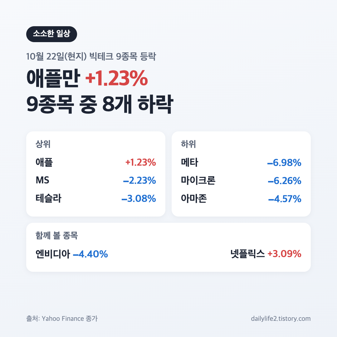 10월 22일 미국 증시 빅테크 9종목 등락률 애플만 상승