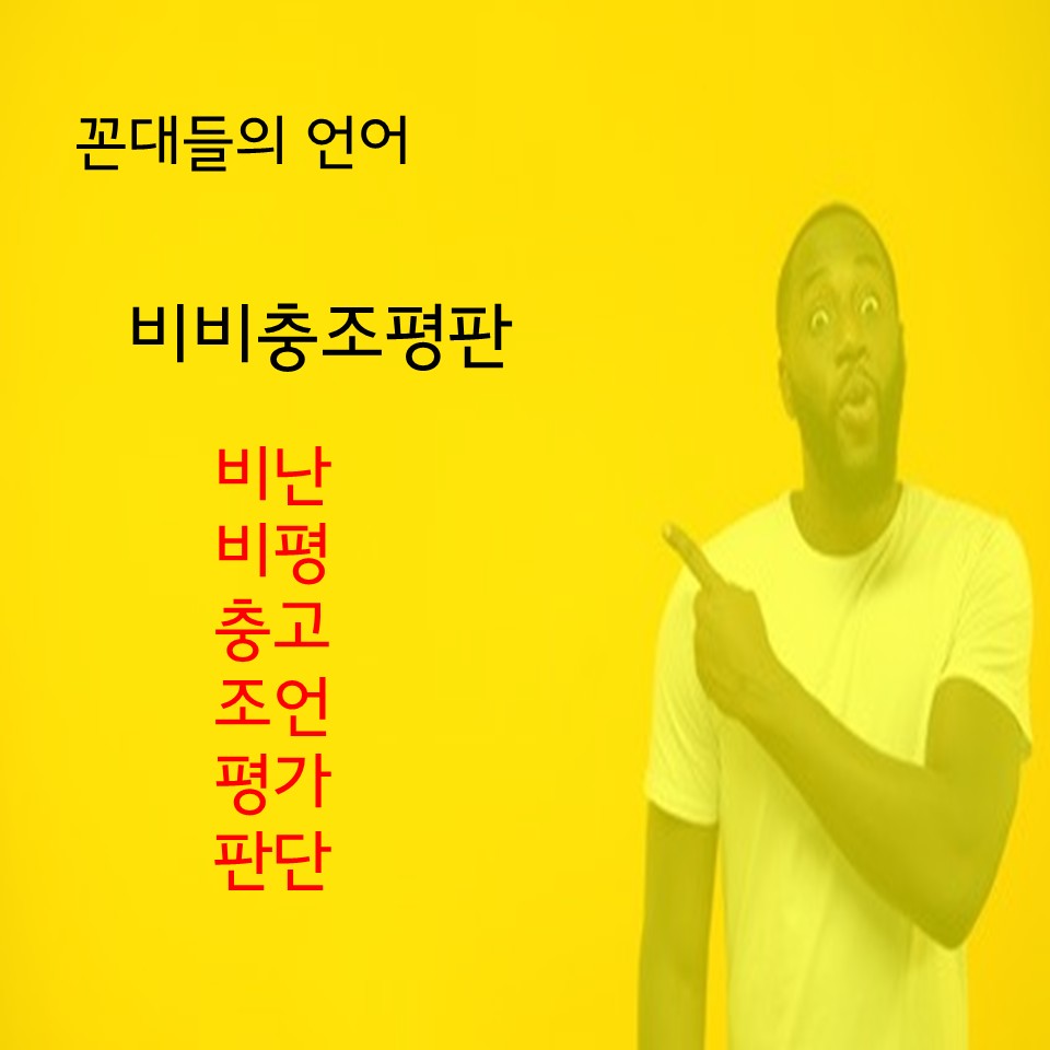 꼰대들의 언어 비비충조평판