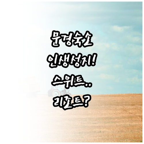 문경 숙소 추천 스위트 호텔부터 문경..