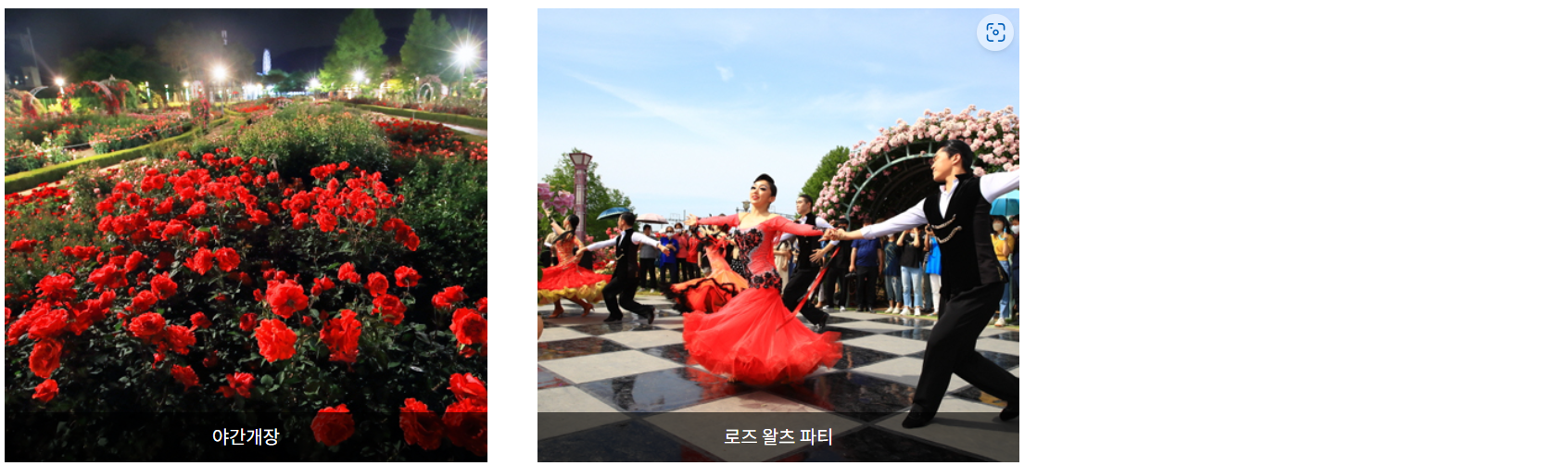 세계장미축제행사 안내