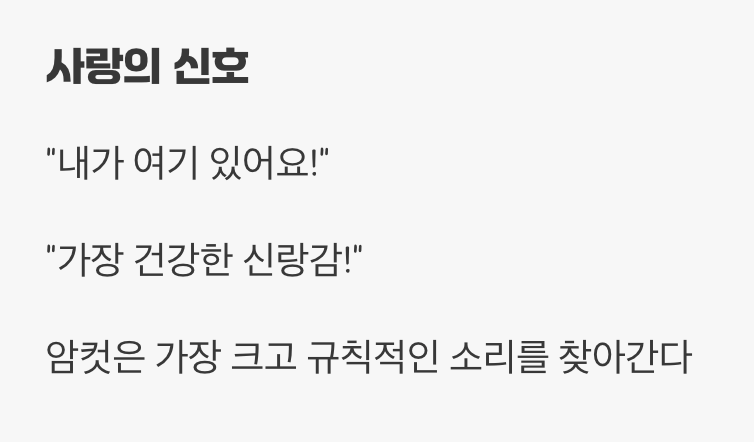 밤의 오케스트라, 수컷들의 세레나데