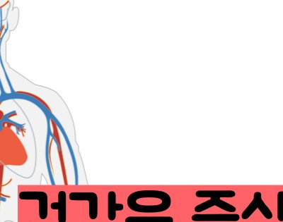 관상동맥 석회화 증상