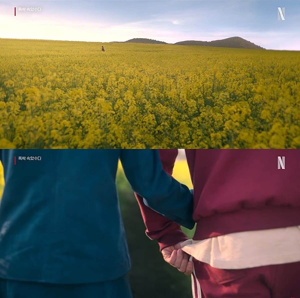 넷플릭스 폭싹 속았수다