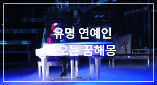 연예인-꿈해몽-공연