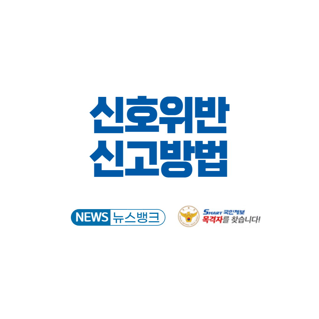 신호위반-신고방법