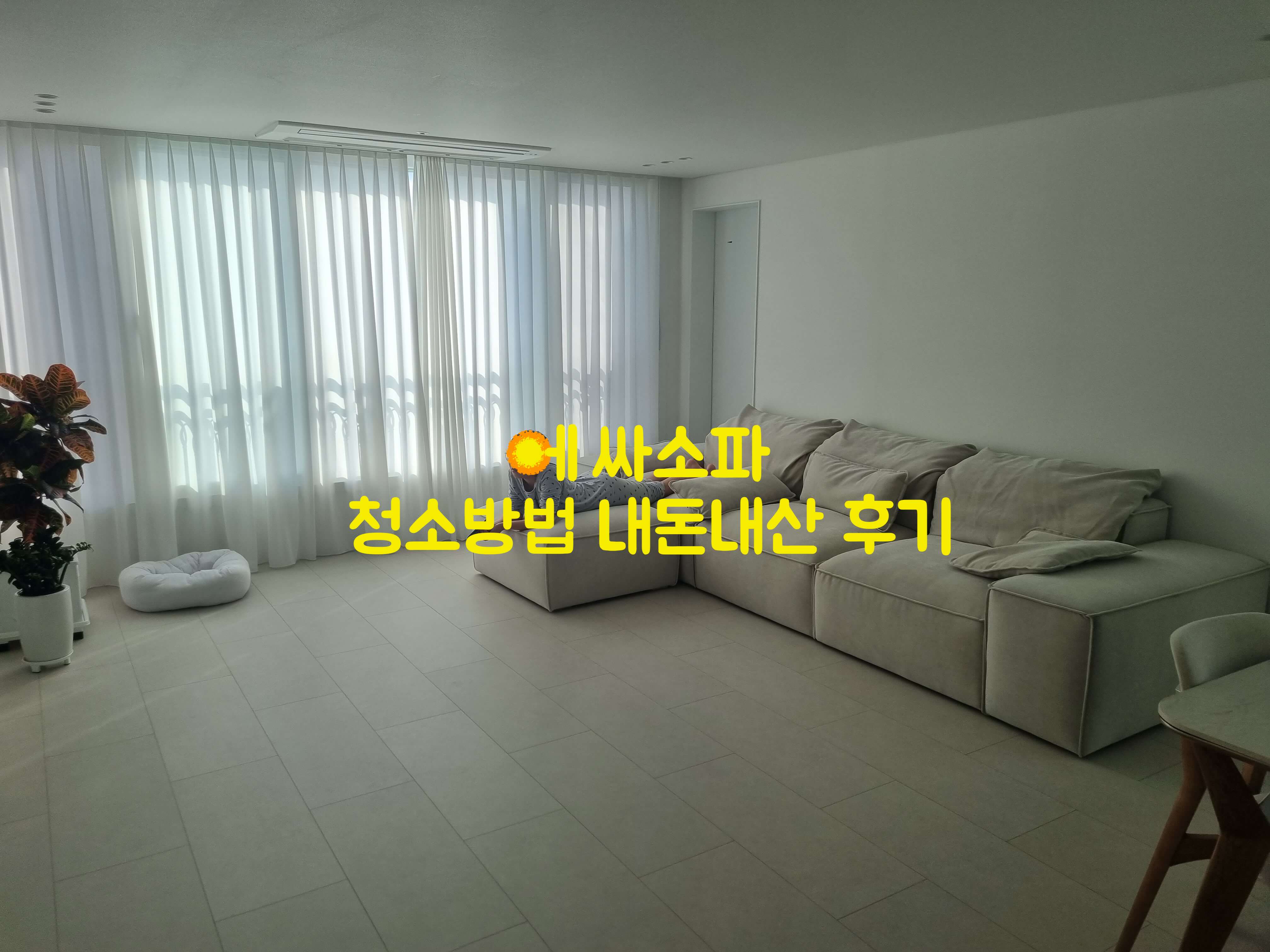 에싸소파