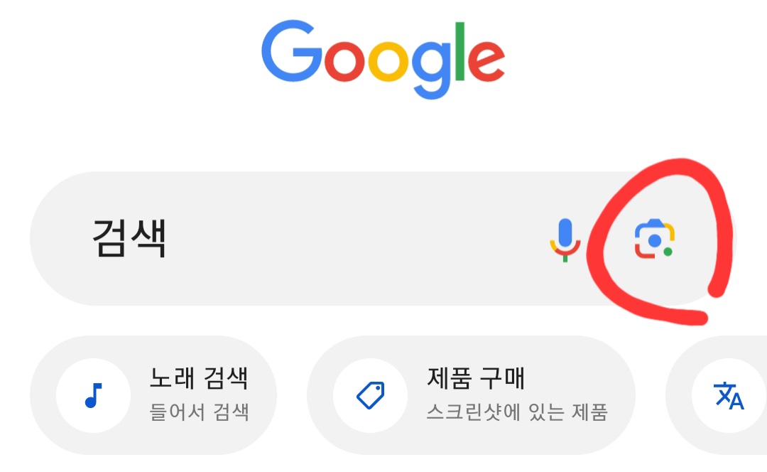 구글 식물이름찾기