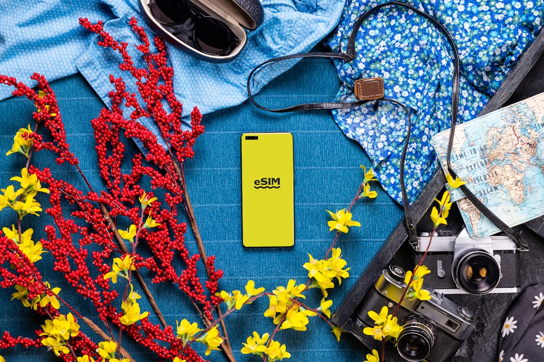 eSIM