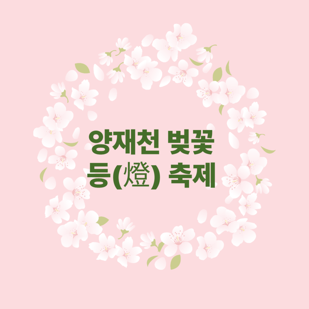 양재천 벚꽃 등(燈) 축제 명소 볼거리 꿀팁 총정리