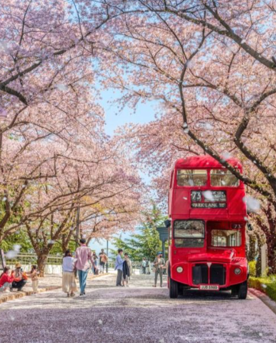 이월드 블라썸 피크닉 관련 사진