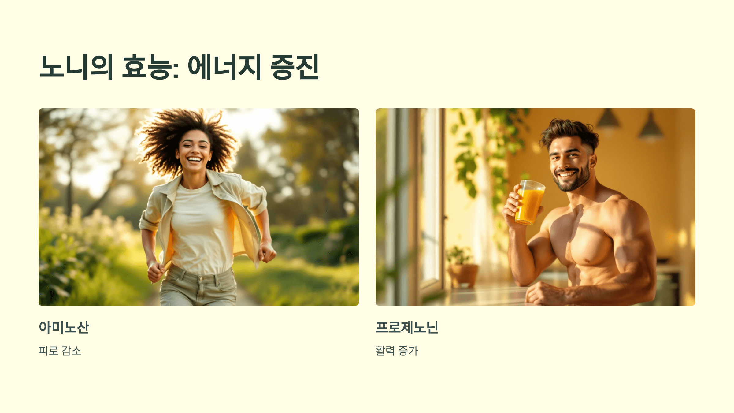 노니 사진입니다.