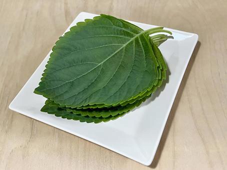 깻잎의 대표 효능 6가지