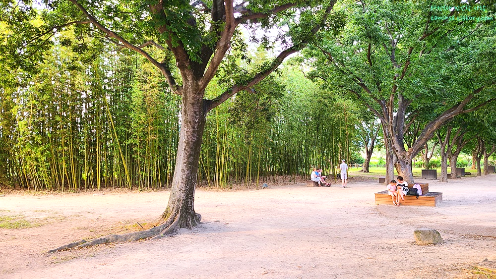 경주가볼만한곳-동궁과월지