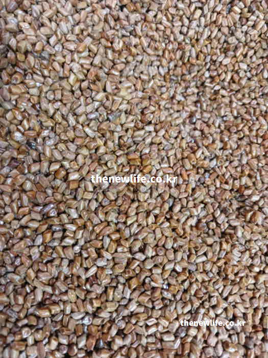 간 좋은 음식 차 결명자차