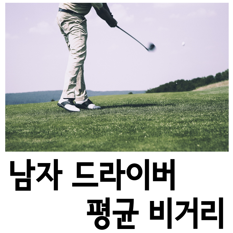남자 드라이버 평균 비거리 - 포스팅 대표이미지