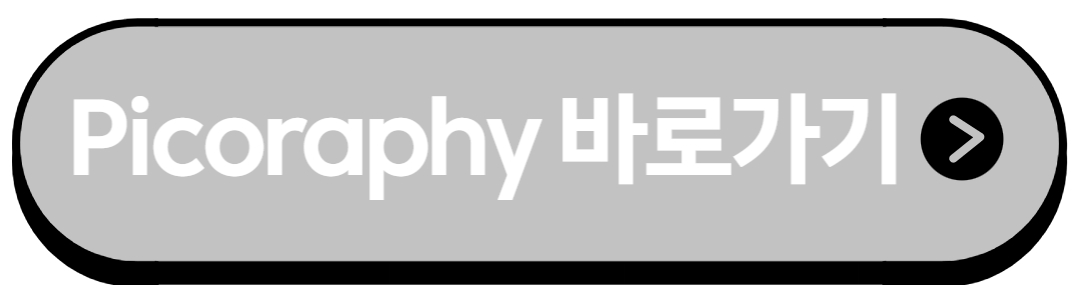 Picoraphy바로가기