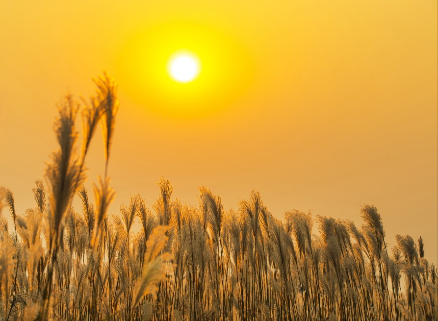 전국 해맞이 명소와 시간 알아보기
