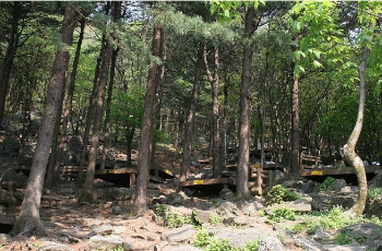 축령산 자연휴양림 야영장(캠핑장)_1