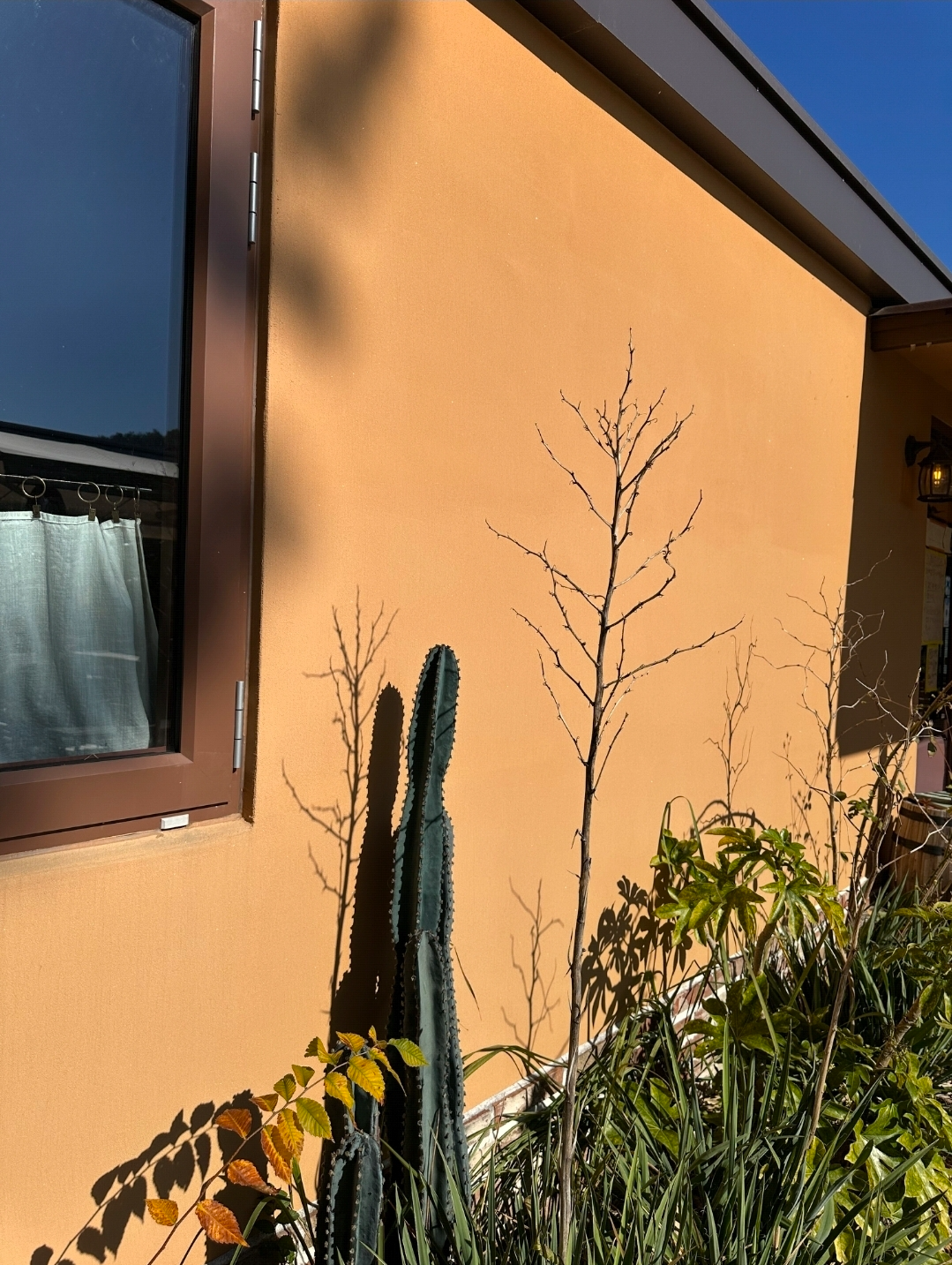 때깔로무역입구