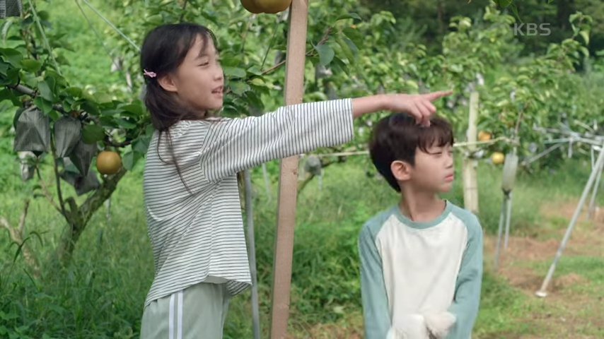 결혼하자 맹꽁아! 가족의 의미를 되새기는 드라마 줄거리 편성표 다시보기 5