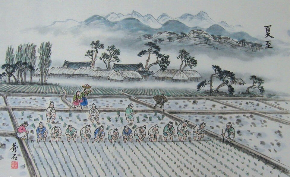 하지의유래와의미