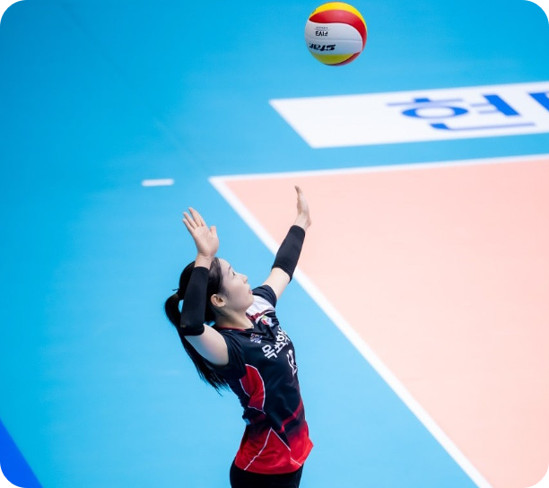 인쿠시관련사진