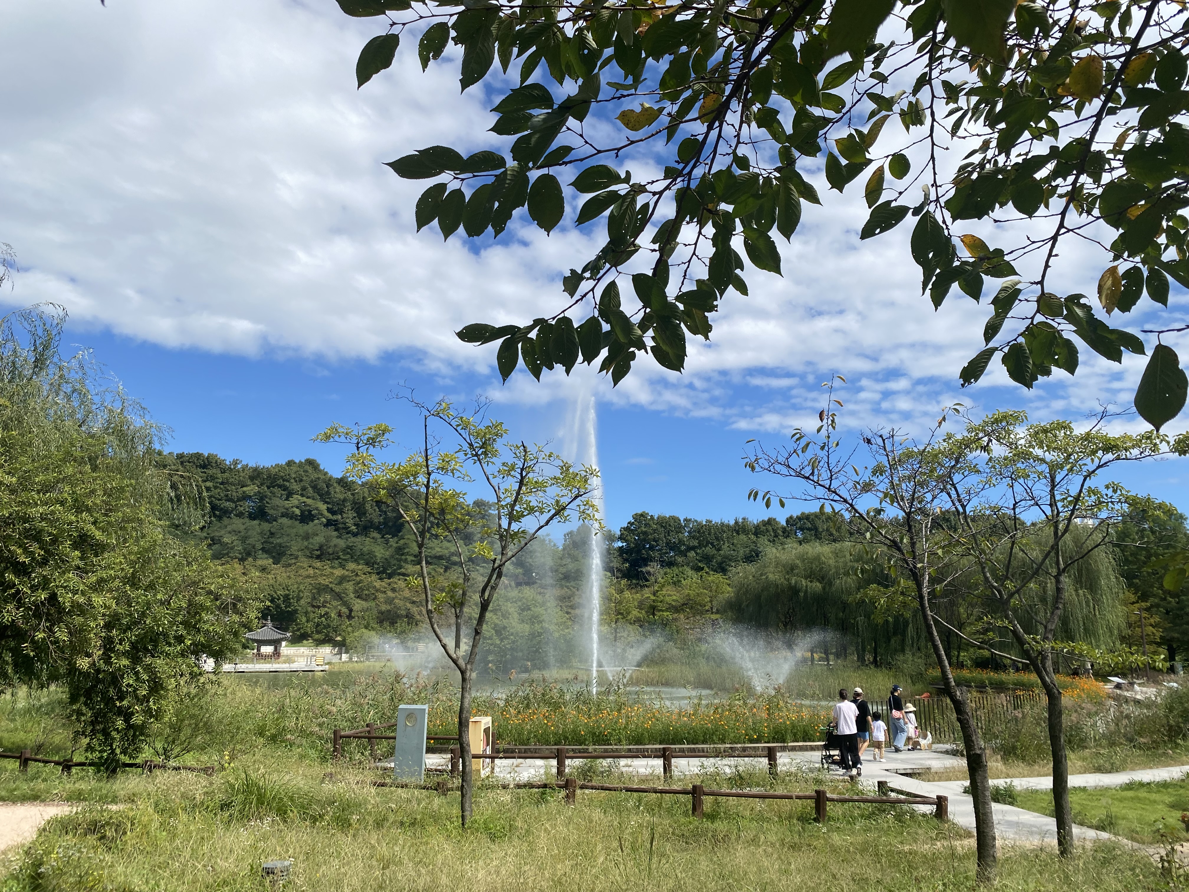 Alt 속성 문제 해결 설명 이미지