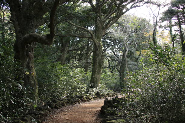 2025 난방비지원금 지원금액, 지급시기, 가구별 에너지 바우처 금액표