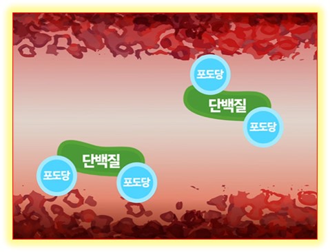 안티에이징생활
