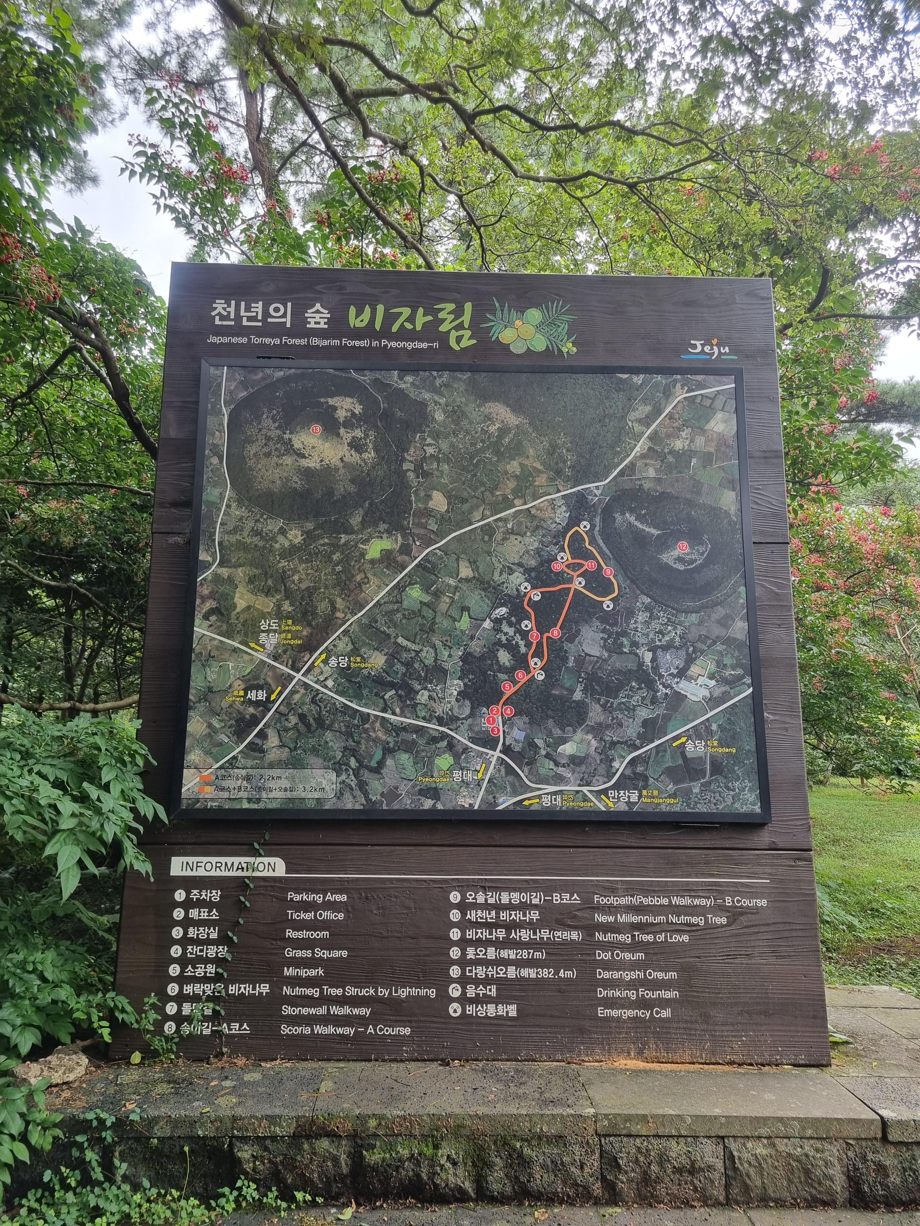 비자림