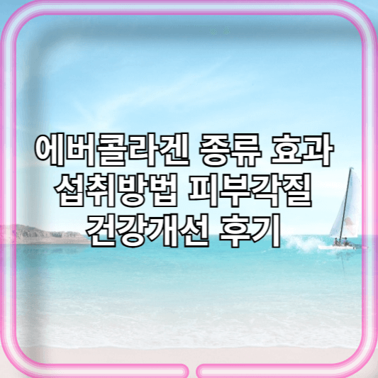에버콜라겐 종류 효과 섭취방법 피부각질 건강개선 10주년이벤트 행사후기