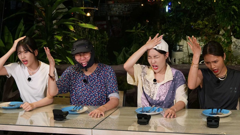 야옹이네 촌캉스 예약